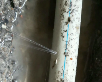 雄县卫生间测漏水多少钱