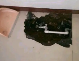 雄县卫生间测漏水多少钱